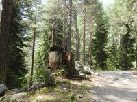 Wanderung zum Chaaladi Gletscher