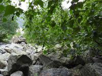 Wanderung zum Chaaladi Gletscher