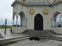 Cha Cha Turm - Batumi