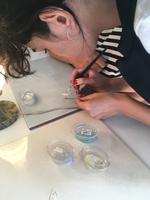 Tbilissi: In der Emaille-Werkstatt