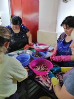 Fischmarkt in Batumi