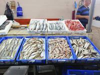 Fischmarkt in Batumi