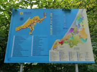 Im botanischen Garten, Batumi