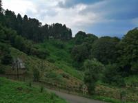 Im botanischen Garten, Batumi