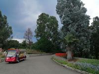 Im botanischen Garten, Batumi