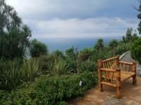 Im botanischen Garten, Batumi