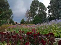 Im botanischen Garten, Batumi