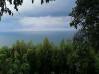 Im botanischen Garten, Batumi