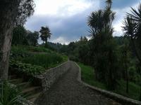 Im botanischen Garten, Batumi