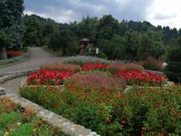 Im botanischen Garten, Batumi