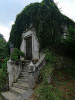 Im botanischen Garten, Batumi