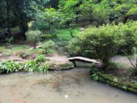 Im botanischen Garten, Batumi