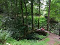Im botanischen Garten, Batumi