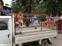 spielende Kinder in Mestia