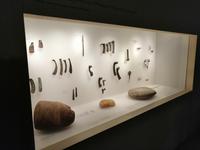 Im Naturkundemuseum in Mestia