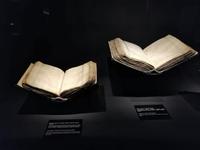 Im Naturkundemuseum in Mestia