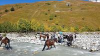 Georgien, Wanderung Adishi - Khalde, Flussquerung