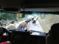 Straße nach Mestia, Swanetien