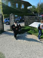 Kutaisi, Bagrati-Kathedrale