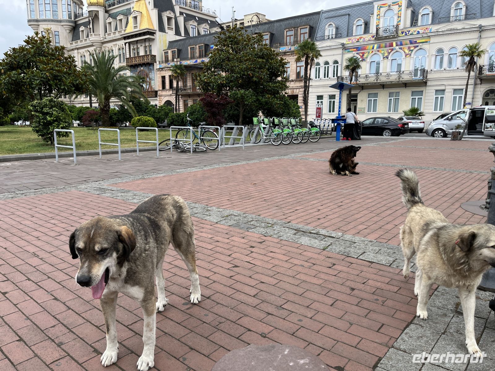 Unsere Begleiter, Batumi, Georgien