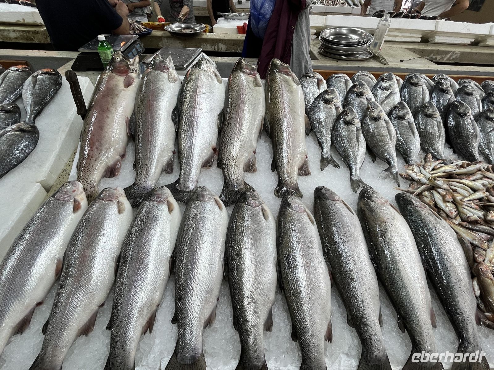 Fischmarkt, Batumi, Georgien