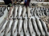 Fischmarkt, Batumi, Georgien