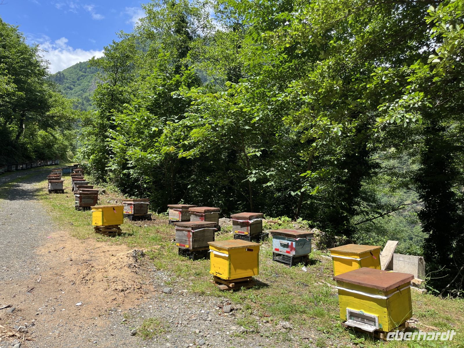 Bienenkästen am Straßenrand, Georgien