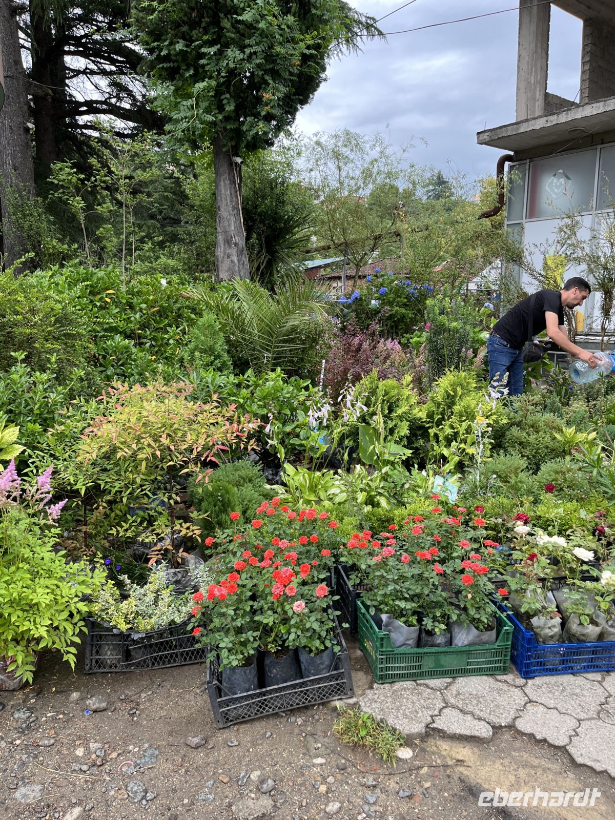 Markt, Kutaisi, Georgien