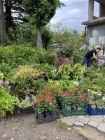 Markt, Kutaisi, Georgien