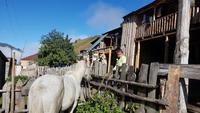 Georgien, Adishi