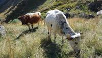 Georgien, Arsha, Wanderung zum Wasserfall