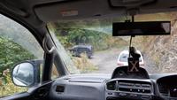 Georgien, Mestia, Jeepfahrt zum Mestia Kreuz
