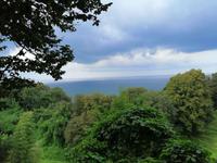 Im botanischen Garten, Batumi