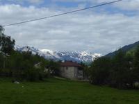 Mestia