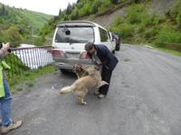 Richtung Ushguli