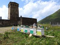 Ushguli