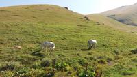 Wanderung am Tschauchi Massif