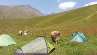 Wanderung am Tschauchi Massif