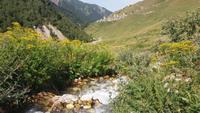 Wanderung nach Khalde 