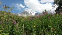 Wanderung nach Khalde 
