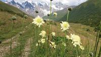 Wanderung nach Khalde 