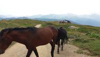 Wanderung zu den Koruldi Seen