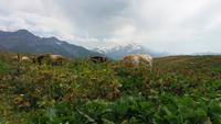 Wanderung zu den Koruldi Seen