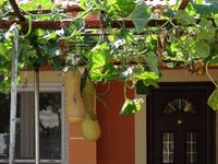 Bummel durch Afionas