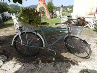 Weingut in Agios Joannis