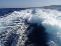 Minikreuzfahrt - Rückfahrt