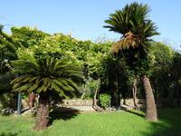 Achilleion Palast (Sissis Sommersitz) in Gastouri - Gartenanlage