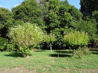 Halbinsel Kanoi - Schloss 