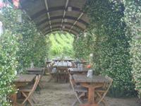 Gemütlichkeit auf dem Weingut