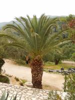 Im Frauenkloster in Agios Athanasiou